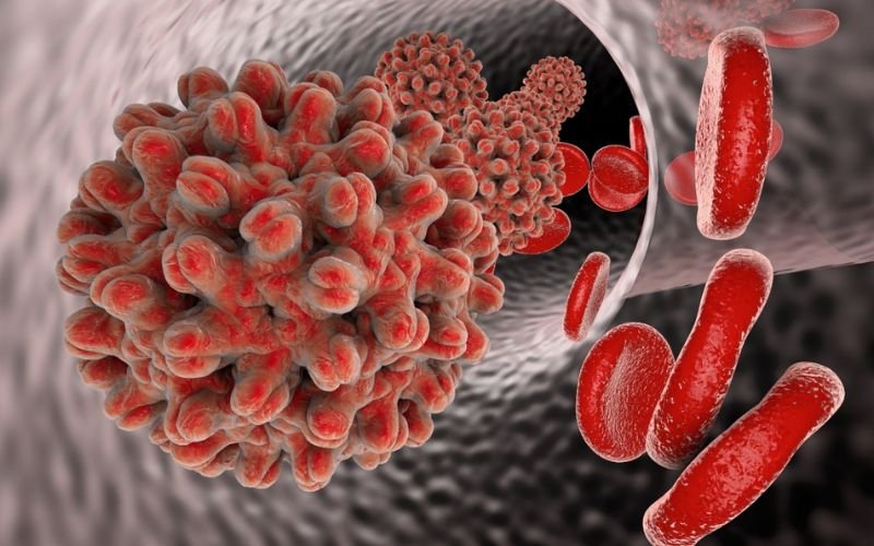 Viral Infections